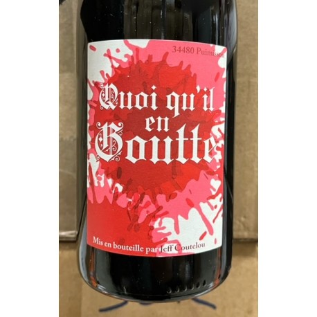 Jean-François Coutelou Vin de France rouge Quoi qu'il en Goutte 19/20