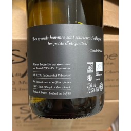 Antocyâme Vin de France blanc Blanc de Zinc 2021