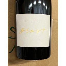 Lestignac Vin de France blanc Blast 2009-2019