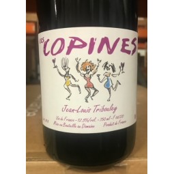 Jean-Louis Tribouley Vin de France rouge Les Copines 2021