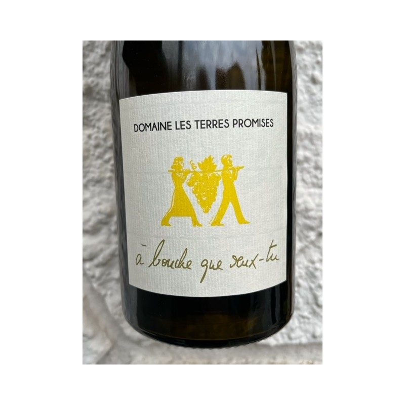 Plaisir blanc, Vin de Pays des Bouches du Rhône - Oullières