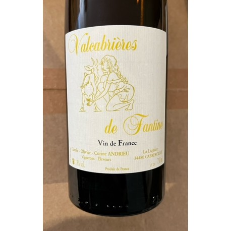 Clos Fantine Vin de France blanc Valcabrières 2022