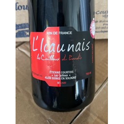Les Cailloux du Paradis Vin de France L'Icaunais 2022
