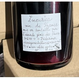 L'Absurde Génie des Fleurs Vin de France rouge Zmeurica 2022