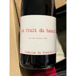 Domaine du Possible Vin de France rouge Le Fruit du Hasard 2022