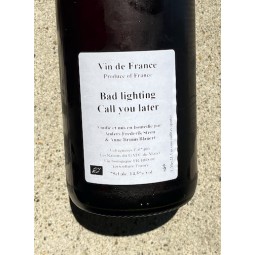 Anders Frederik Steen & Anne Bruun Blauert Vin de France rouge Bad Lighting, Call you Later 2021