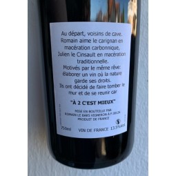 Romain Le Bars & Julien Daumas Vin de France rouge A 2 C'est mieux 2020